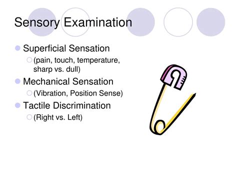 opposite of soft in a sensory test|sensory exam for pain.